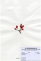 藏品(長柄雀冠藻)的圖片